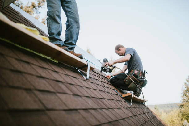 Quick and Trustworthy Emergency Roof Repair Services in Ridgway, CO